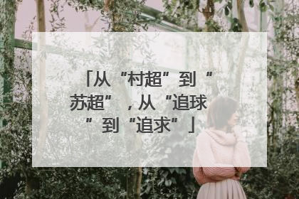 从“村超”到“苏超”，从“追球”到“追求”