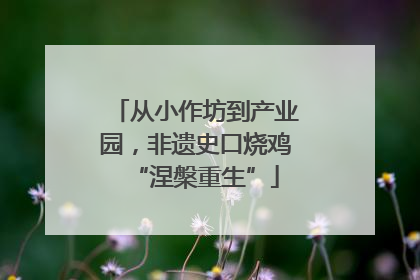 从小作坊到产业园，非遗史口烧鸡“涅槃重生”