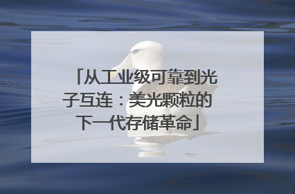 从工业级可靠到光子互连：美光颗粒的下一代存储革命