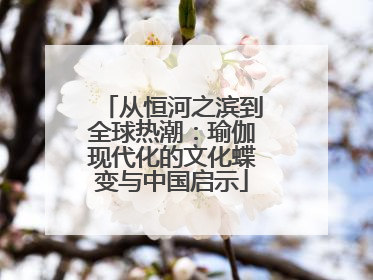 从恒河之滨到全球热潮：瑜伽现代化的文化蝶变与中国启示