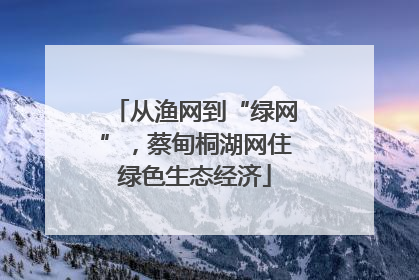 从渔网到“绿网”，蔡甸桐湖网住绿色生态经济