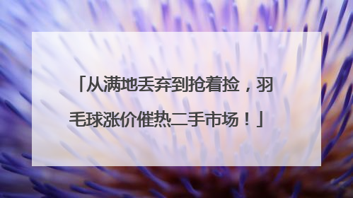 从满地丢弃到抢着捡，羽毛球涨价催热二手市场！