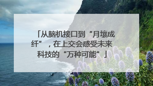 从脑机接口到“月壤成纤”，在上交会感受未来科技的“万种可能”