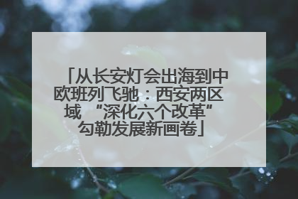 从长安灯会出海到中欧班列飞驰：西安两区域 “深化六个改革” 勾勒发展新画卷