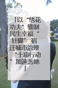 以“绣花功夫”缝制民生幸福“针脚” 宿迁城市治理“十项行动”加速落地