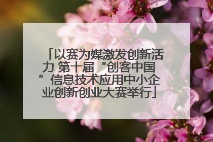 以赛为媒激发创新活力 第十届“创客中国”信息技术应用中小企业创新创业大赛举行