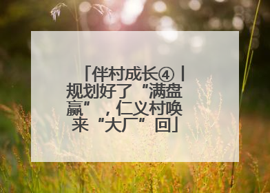 伴村成长④丨规划好了“满盘赢”，仁义村唤来“大厂”回