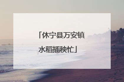 休宁县万安镇水稻插秧忙