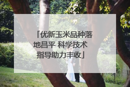 优新玉米品种落地昌平 科学技术指导助力丰收