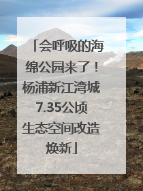 会呼吸的海绵公园来了！杨浦新江湾城7.35公顷生态空间改造焕新