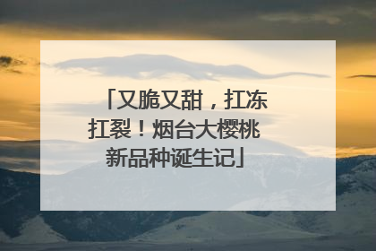 又脆又甜，扛冻扛裂！烟台大樱桃新品种诞生记