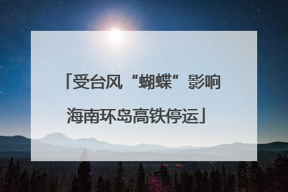 受台风“蝴蝶”影响 海南环岛高铁停运