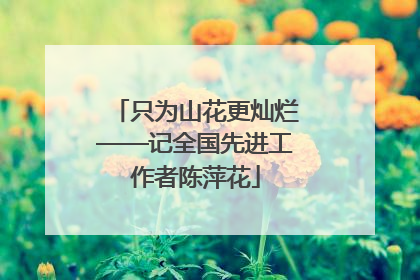 只为山花更灿烂——记全国先进工作者陈萍花