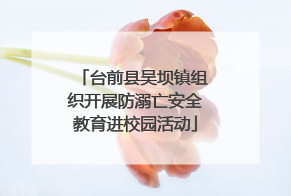 台前县吴坝镇组织开展防溺亡安全教育进校园活动