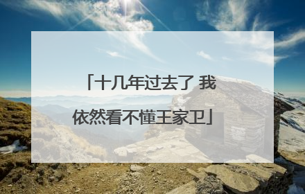 十几年过去了 我依然看不懂王家卫