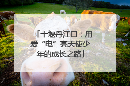 十堰丹江口：用爱“电”亮天使少年的成长之路