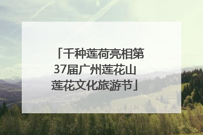 千种莲荷亮相第37届广州莲花山莲花文化旅游节