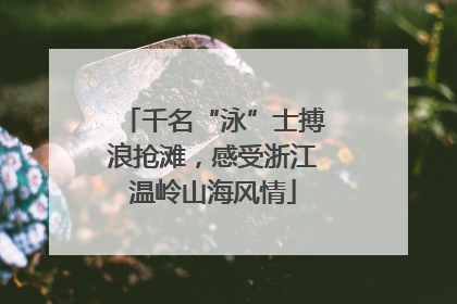 千名“泳”士搏浪抢滩，感受浙江温岭山海风情