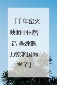 千年窑火映照中国智造 株洲魅力惊艳国际学子