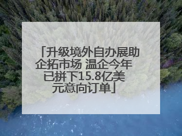 升级境外自办展助企拓市场 温企今年已拼下15.8亿美元意向订单