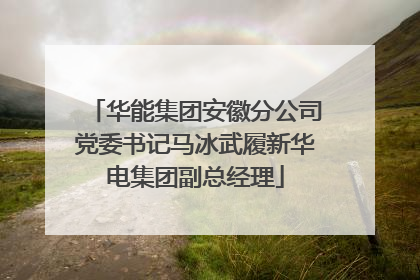 华能集团安徽分公司党委书记马冰武履新华电集团副总经理