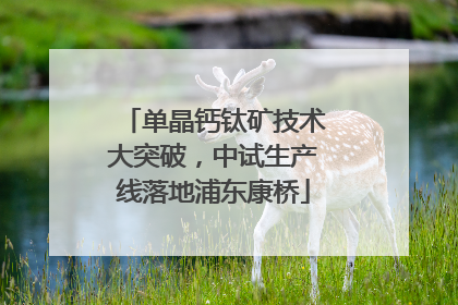 单晶钙钛矿技术大突破，中试生产线落地浦东康桥