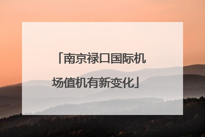 南京禄口国际机场值机有新变化