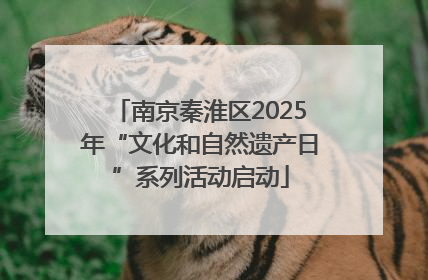 南京秦淮区2025年“文化和自然遗产日”系列活动启动