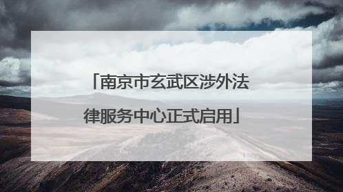 南京市玄武区涉外法律服务中心正式启用