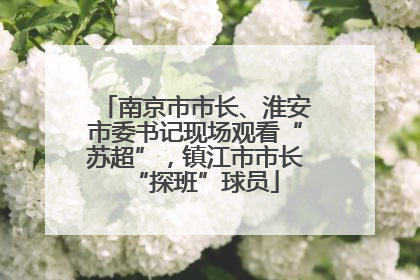 南京市市长、淮安市委书记现场观看“苏超”，镇江市市长“探班”球员