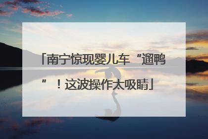 南宁惊现婴儿车“遛鸭”！这波操作太吸睛