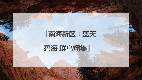 南海新区：蓝天碧海 群鸟翔集