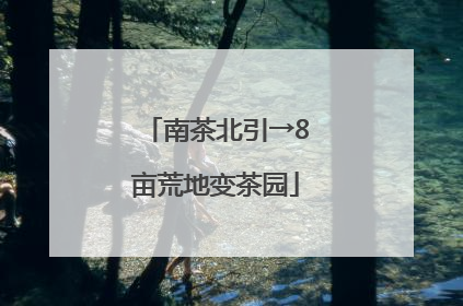南茶北引→8亩荒地变茶园