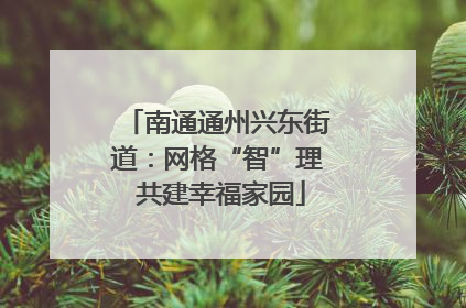 南通通州兴东街道：网格“智”理 共建幸福家园