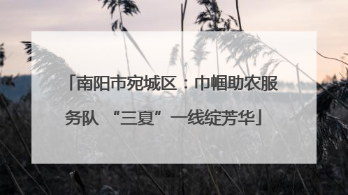 南阳市宛城区：巾帼助农服务队 “三夏”一线绽芳华