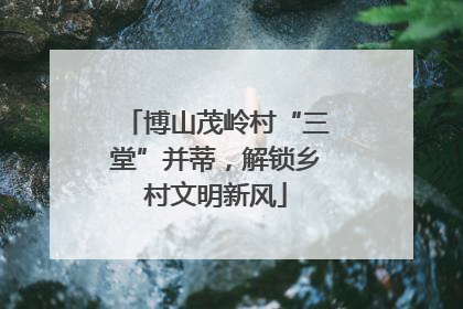 博山茂岭村“三堂”并蒂，解锁乡村文明新风