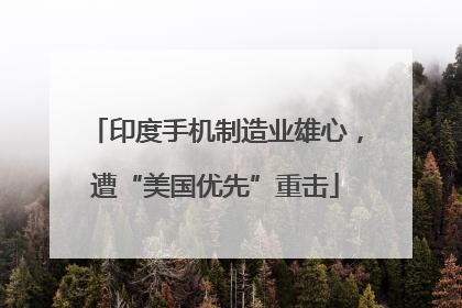 印度手机制造业雄心，遭“美国优先”重击