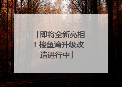 即将全新亮相！梭鱼湾升级改造进行中