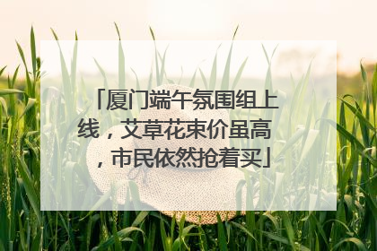 厦门端午氛围组上线，艾草花束价虽高，市民依然抢着买