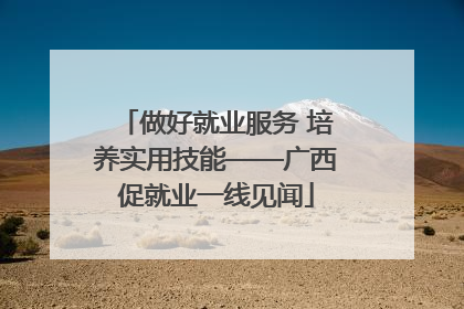 做好就业服务 培养实用技能——广西促就业一线见闻