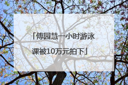 傅园慧一小时游泳课被10万元拍下