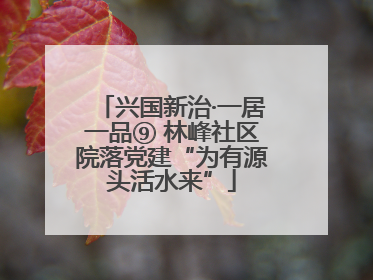 兴国新治·一居一品⑨ 林峰社区院落党建“为有源头活水来”
