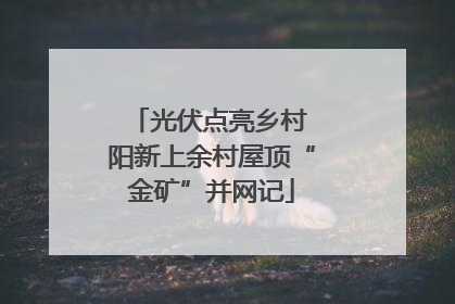 光伏点亮乡村 阳新上余村屋顶“金矿”并网记