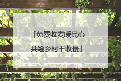 免费收麦暖民心 共绘乡村丰收景