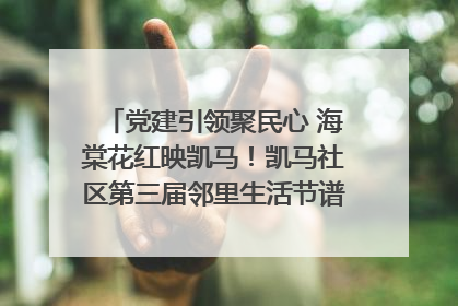 党建引领聚民心 海棠花红映凯马！凯马社区第三届邻里生活节谱写幸福新篇章