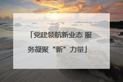 党建领航新业态 服务凝聚“新”力量