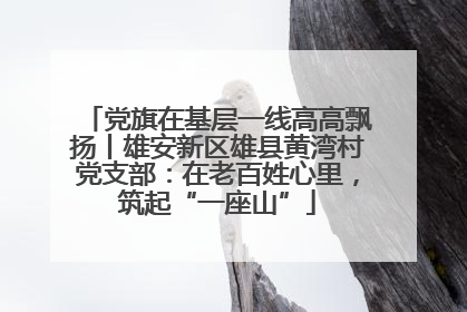 党旗在基层一线高高飘扬丨雄安新区雄县黄湾村党支部：在老百姓心里，筑起“一座山”