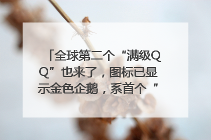全球第二个“满级QQ”也来了，图标已显示金色企鹅，系首个“满级QQ”的小号
