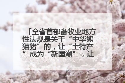 全省首部畜牧业地方性法规是关于“中华熊猫猪”的，让“土特产”成为“新国潮”，让“农产品”升格为“城市IP”
