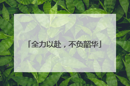 全力以赴，不负韶华